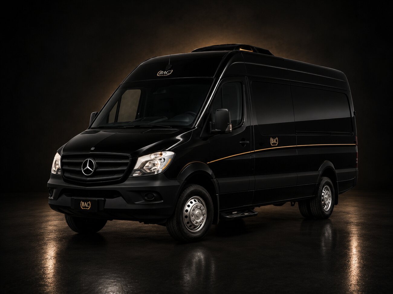 Group Transit Van — Mercedes High-Ceiling Van