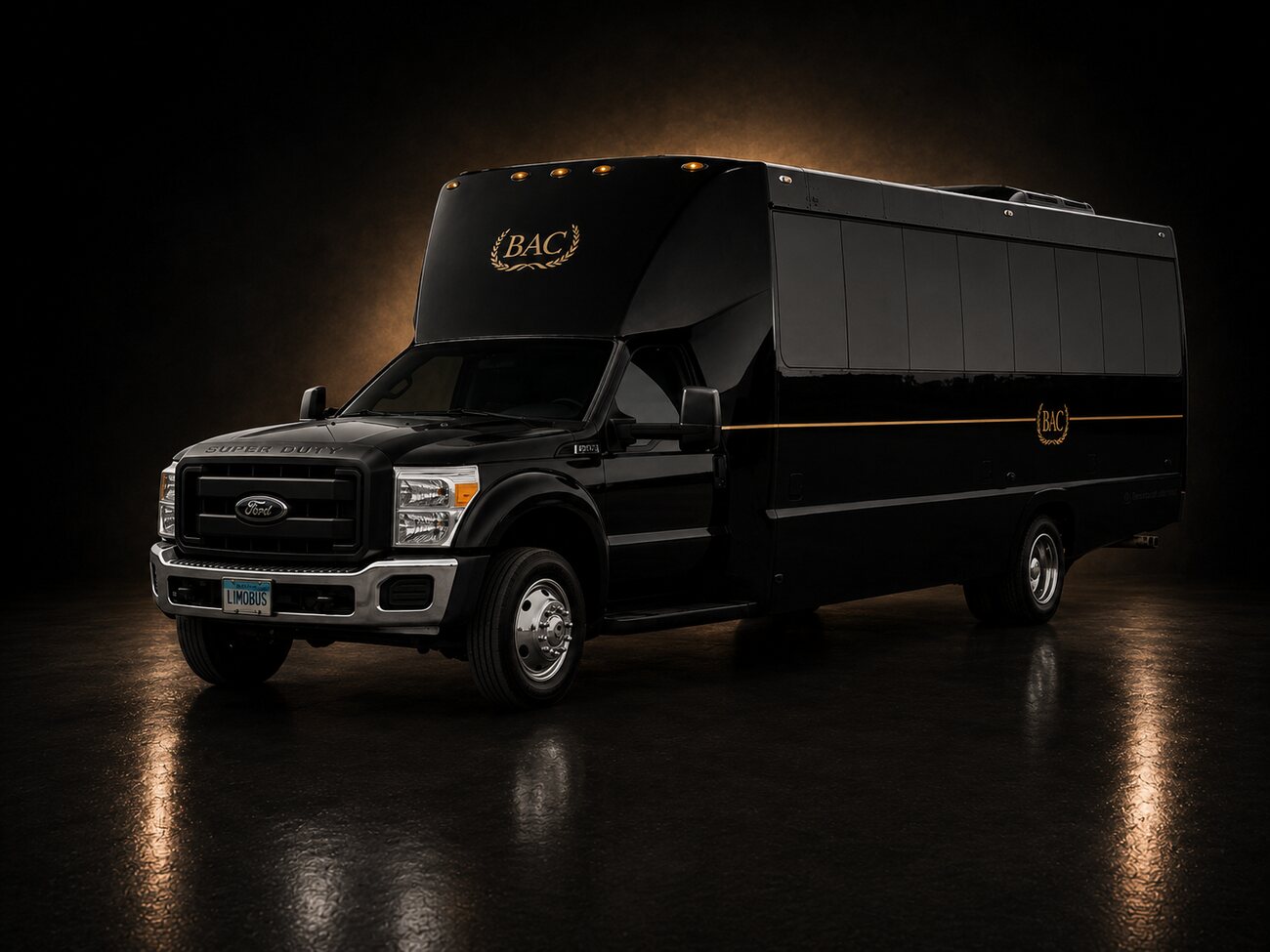 Limo / Party Bus