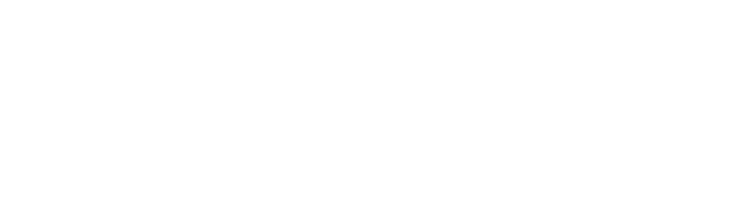Moose's Tooth Pizza